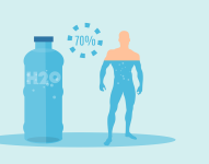 En la ilustración podemos observar el proceso de hidratación adecuado para una persona.