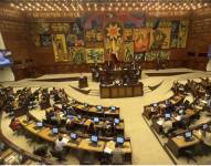 Pleno de la Asamblea Nacional en debate el proyecto de ley de producción y defensa animal.