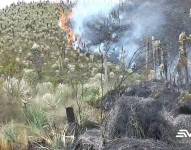 Un incendio forestal que lleva cuatro días en Carchi consumió 160 hectáreas de bosque seco, pajonales y dos hectáreas de frailejones