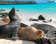 Una foto referencial de las Islas Galápagos.