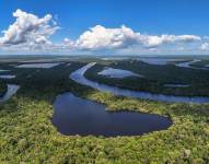 Fotografía aérea donde se observa una zona del Parque Nacional Anavilhanas, en el estado de Amazonas (Brasil).