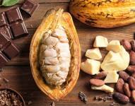 Imagen referencial del cacao y sus productos derivados.