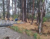 El rescate a una persona que quedó atrapada en la isla del río Tomebamba, en Cuenca.