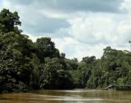 Un paisaje de Yasuní, en la Amazonía ecuatoriana.