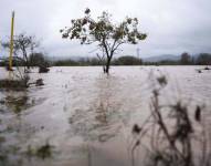 Las intensas lluvias en Almería han provocado inundaciones en calles y carreteras, generando alerta en varias localidades del sureste de España.