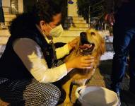 Una mascota rescatada es atendida por los técnicos de la Unidad de Bienestar Animal.