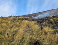 La zona afectada de la reserva Ilinizas afectada por el incendio.