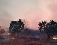 Imagen de un incendio en el kilómetro 23 de Vía a la Costa.