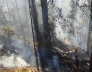 Esta tarde, nuestro equipo controló y sofocó un incendio forestal en el sector de El Trébol.