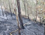 Un incendio en el sector de La Mena del Hierro.