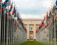 Foto del edificio de las Naciones Unidas con las banderas de todos los países