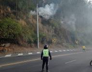 Incendio forestal al borde de la carretera.