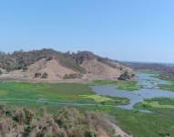 Una laguna en la parroquia Progreso se convirtió en el nuevo botadero de cadáveres de Guayaquil