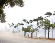 Imagen referencial de ráfaga de viento en la costa peruana.