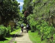 Quito: los 15 parques metropolitanos estarán habilitados por este feriado del 24 de mayo
