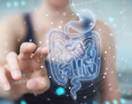 La microbiota intestinal desempeña un papel crucial en la salud del sistema inmunológico.