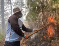 El fuego ha arrasado más de 1 600 hectáreas de cultivos.