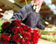 Imagen referencial de exportación de flores desde Ecuador.