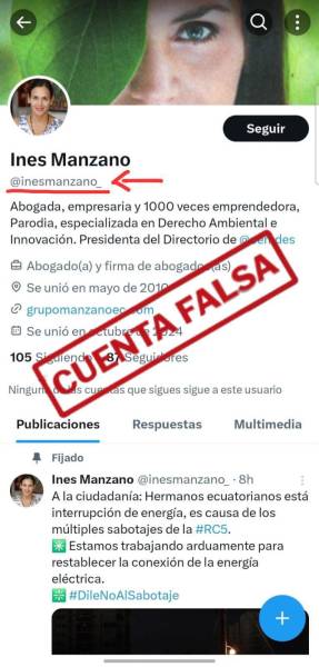 Captura de pantalla de la cuenta que se hacía pasar por Inés Manzano, ministra encargada de Energía.