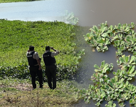 Pescadores hallan frecuentemente cuerpos en un recinto de Guayaquil.