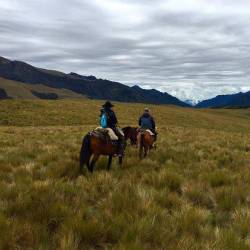 El páramo de Yanahurco, un refugio de biodiversidad en los Andes ecuatorianos