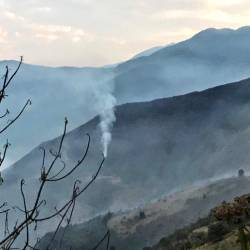 Incendios forestales se mantienen activos.