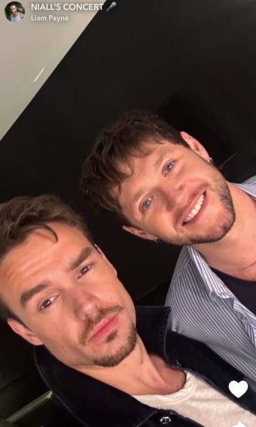 Liam Payne junto a Niall Horan.