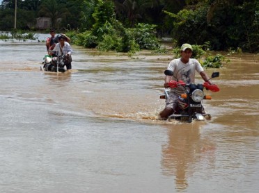 Lluvias dejan 45.000 familias afectadas y 9.000 reses muertas en Bolivia