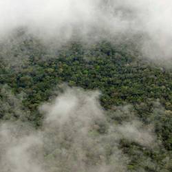 Imagen referencial de cielo nublado en la Amazonía.