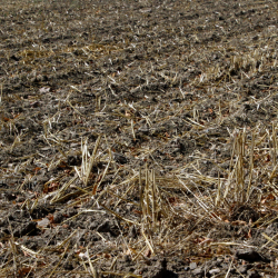 Foto referencial de sequía, en los cultivos