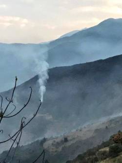 Incendios forestales se mantienen activos.