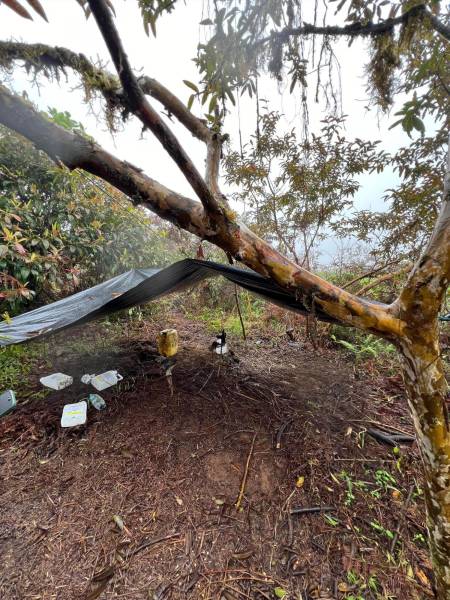 Ciudadanos tomaron fotografías de botellas con químicos cerca de la reserva natural, que se habrían usado para envenenar perros en Santa Cruz.