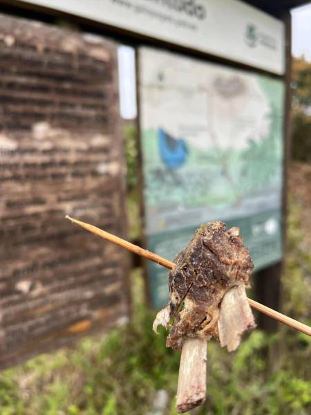 Ciudadanos denuncian supuesto envenenamiento de perros en las cercanías del Parque Nacional Galápagos, en la isla Santa Cruz.