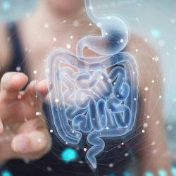 La microbiota intestinal desempeña un papel crucial en la salud del sistema inmunológico.