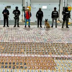 Los 5,630 ladrillos de droga estaban embalados con cinta adhesiva, dentro de un cargamento de bananos.