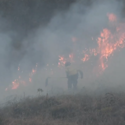 Imagen de un bombero combatiendo un incendio en la Sierra.