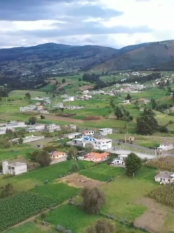 Las lluvias reaviven los pastizales y alivian a los ganaderos de Azuay, Los Ríos y Cotopaxi