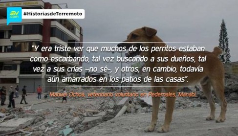 Frases del terremoto