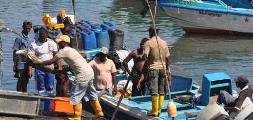 300 marinos ayudarán a combatir la piratería en las costas