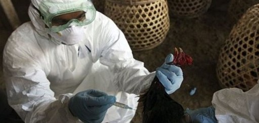 Asciende a 449 cifra de fallecidos por gripe en México en lo que va de 2014