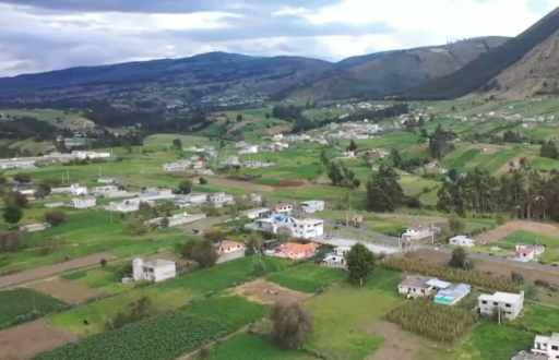 Las lluvias reaviven los pastizales y alivian a los ganaderos de Azuay, Los Ríos y Cotopaxi