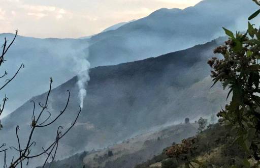 Incendios forestales se mantienen activos.