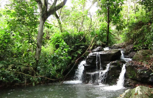 Imagen referencial de las cascadas en la reserva.