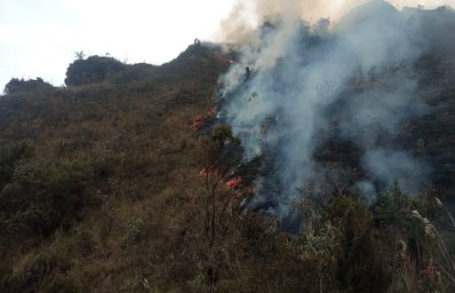 Incendio en el Parque Nacional Cajas, en Cuenca.