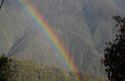 Imagen referencial del Cerro Candelaria.