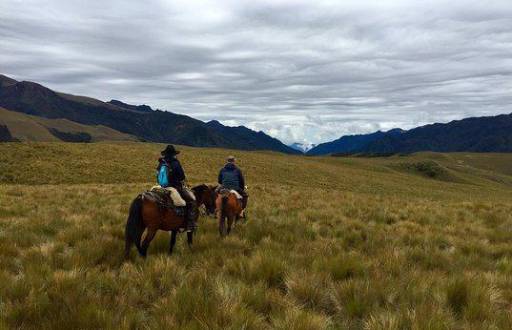El páramo de Yanahurco, un refugio de biodiversidad en los Andes ecuatorianos