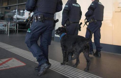 Intrigados porque no veían consciencia ni movimiento de la pasajera, los policías croatas llamaron a un médico que constató la muerte de la mujer de 83 años.