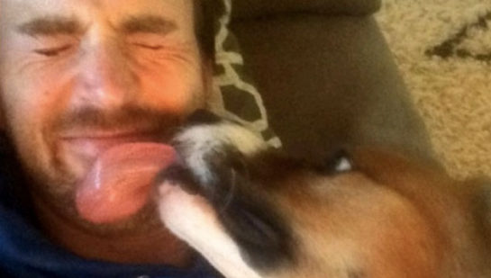 Chris Evans y el emotivo reencuentro con su perro tras 10 semanas de no verse