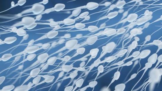 5 Curiosidades Sobre El Semen Que Quizás No Sabías