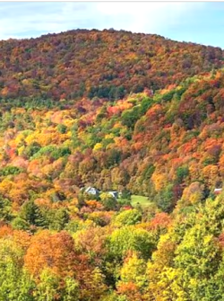 El otoño se caracteriza por el descenso de temperatura y la caída de las hojas de los árboles..